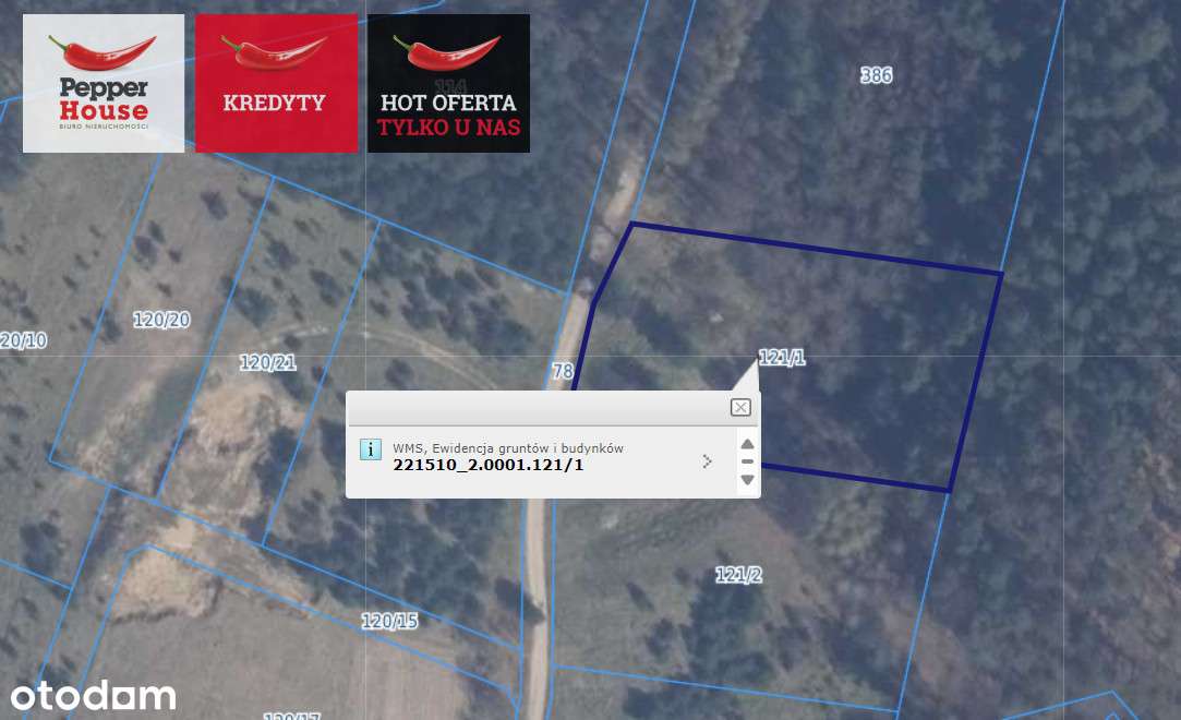 3 działki - 2,5 km od jeziora - 2 w linii rzeki. - Pełny obrazek: 4/5