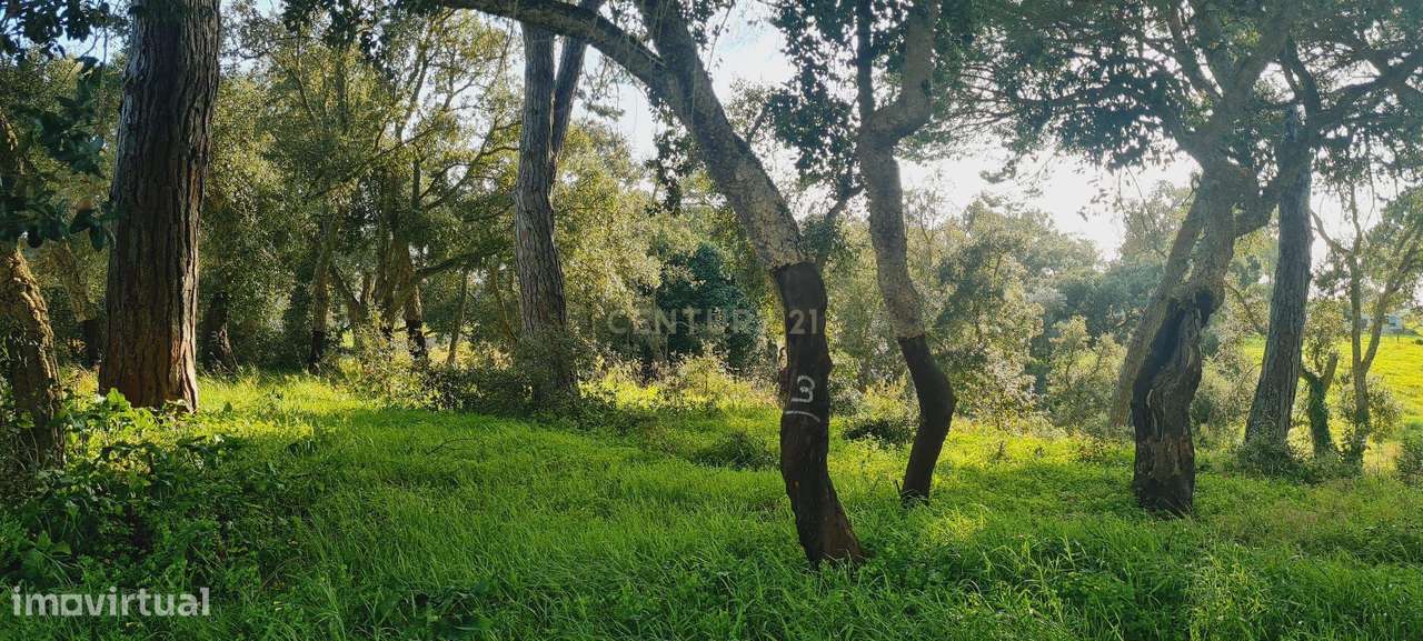 Terreno Amplo em Zona Tranquila com Potencial Agrícola Próximo das Pra-2