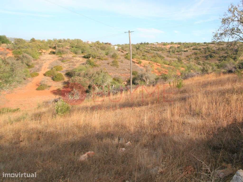 Terreno rústico com 2.400m2 - Grande imagem: 2/6