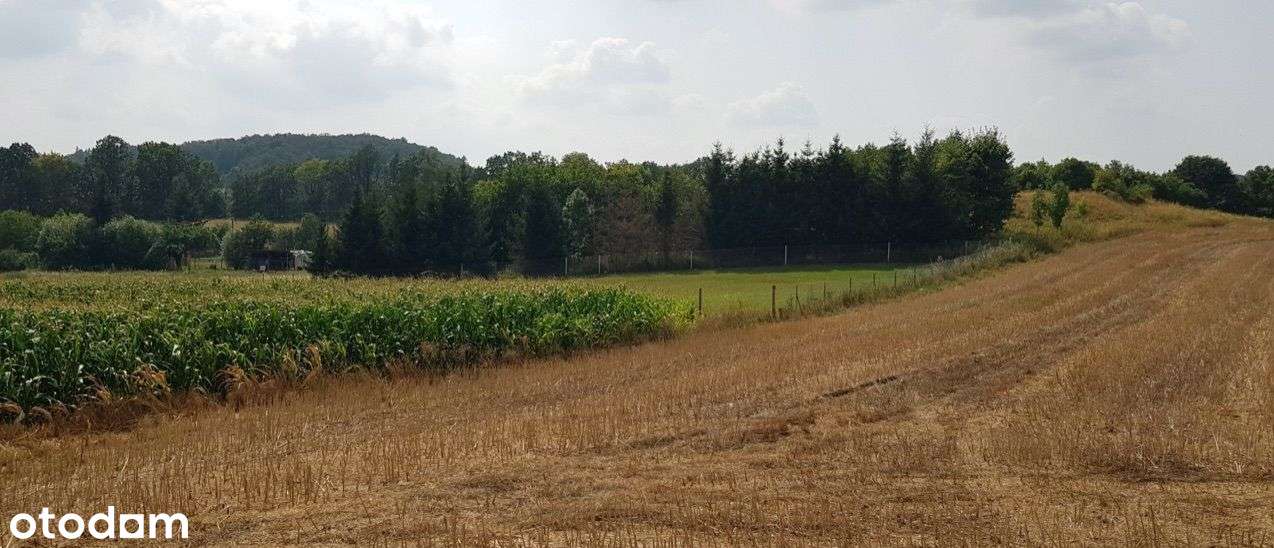 Działka budowlana - Pełny obrazek: 5/20