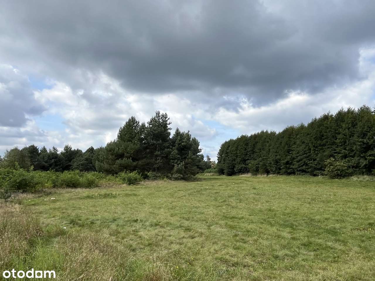 Działki budowlane w środku lasu blisko Wrześni Psary-9