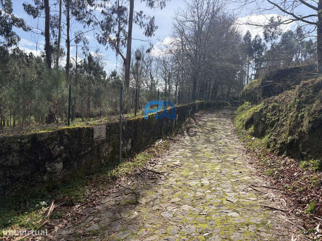 Armazém com 140 m2 inserido em terreno com 1989m2-20