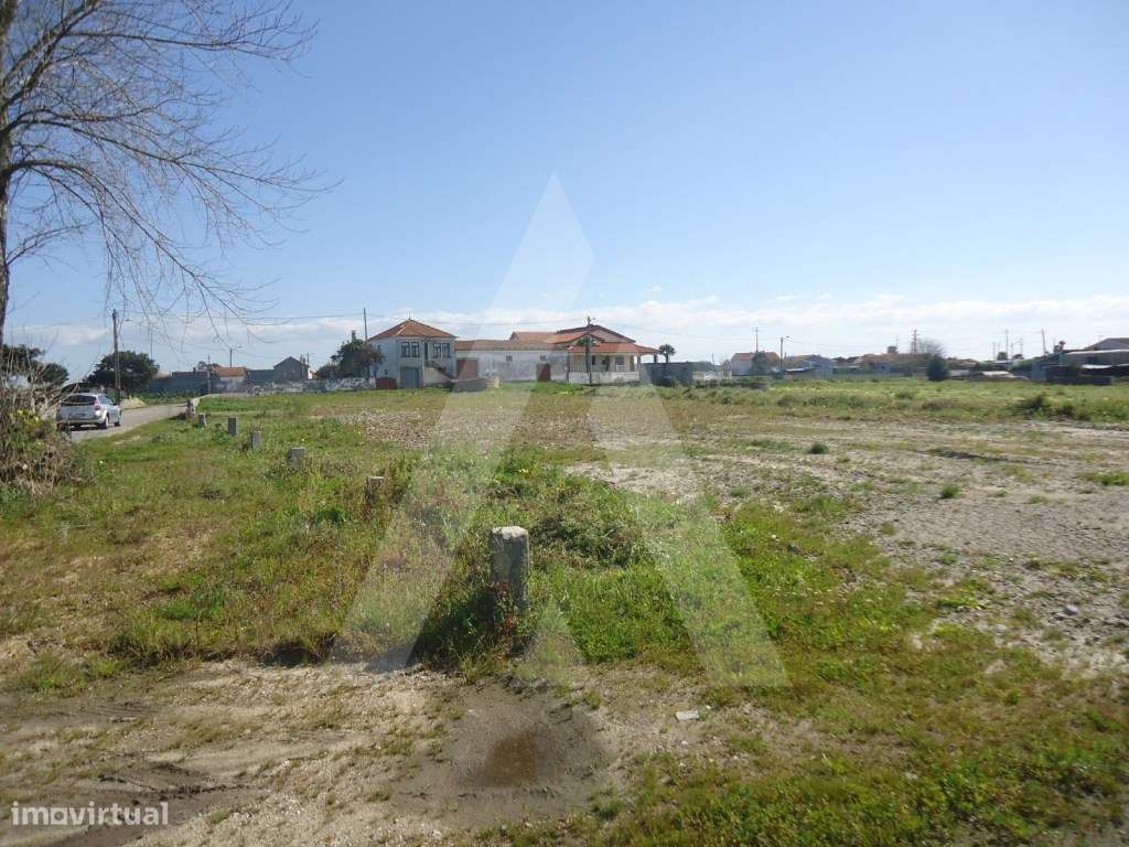 Terreno para construção de 11 moradias nas Quintãs, Aradas - Grande imagem: 4/8