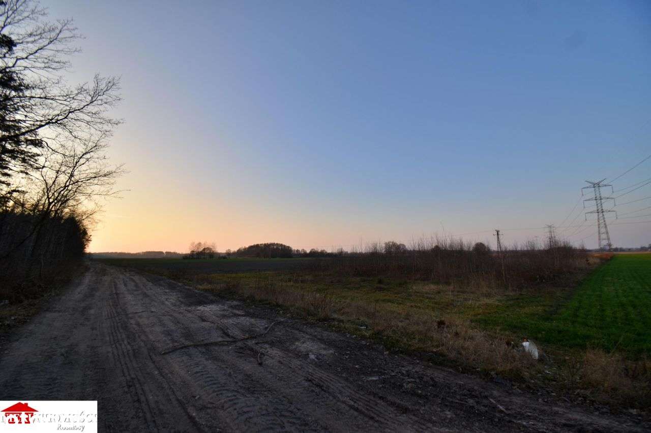 Nadbiel - 30 km od Warszawy-4