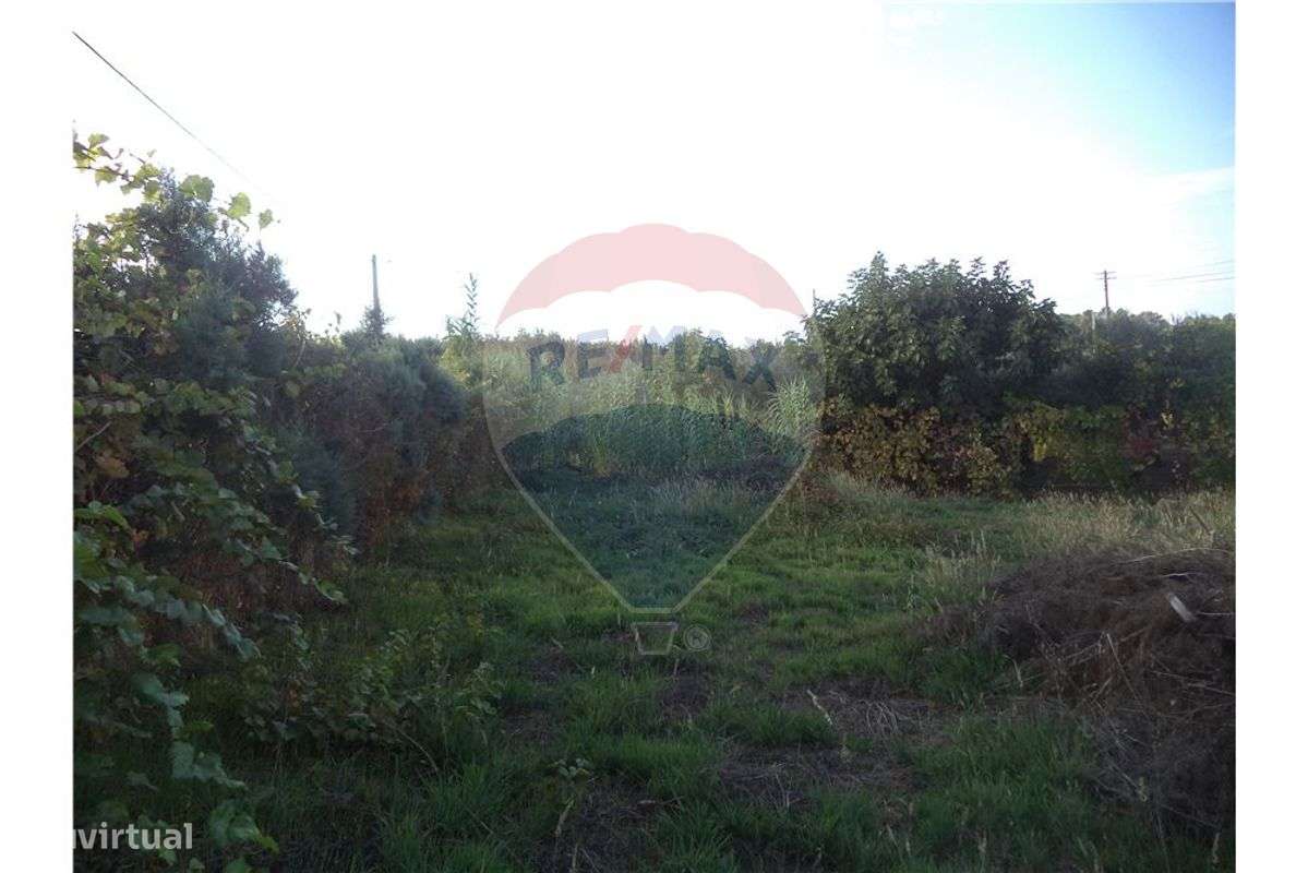 Terreno  para venda - Grande imagem: 4/6