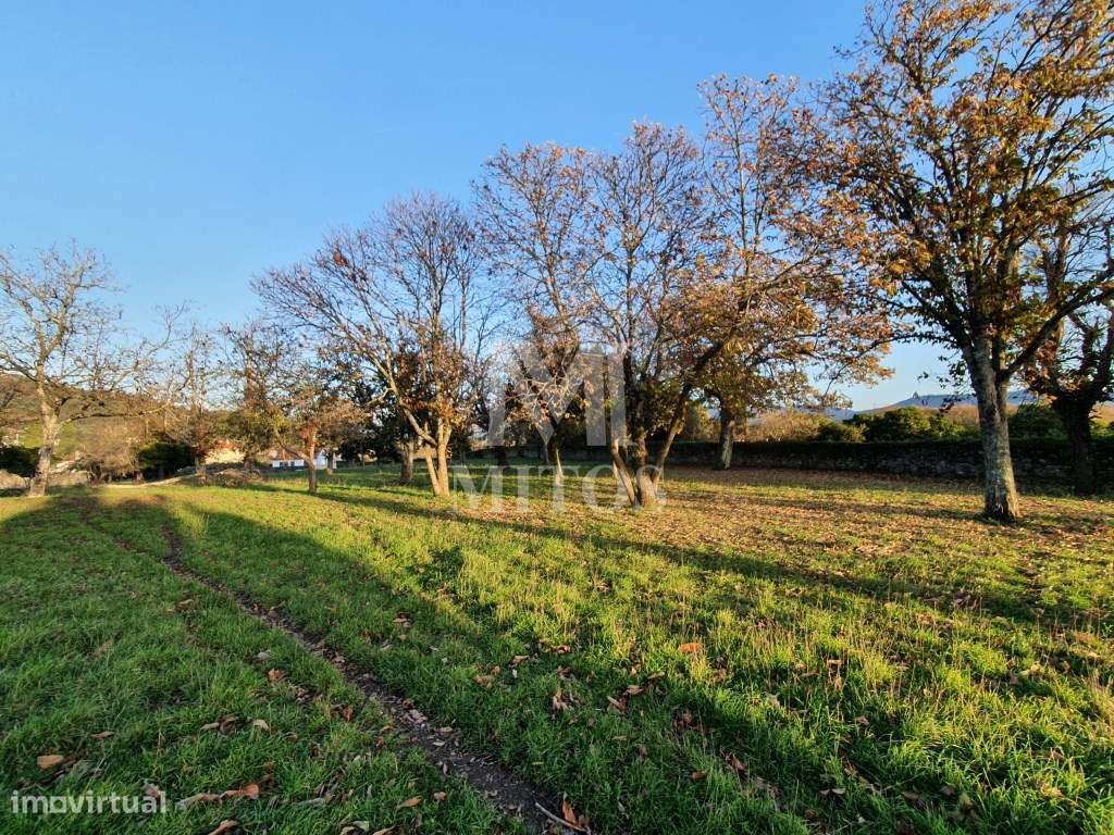 Quinta Para Venda em Santa Marta Portuzelo- Viana do Castelo - Grande imagem: 5/28