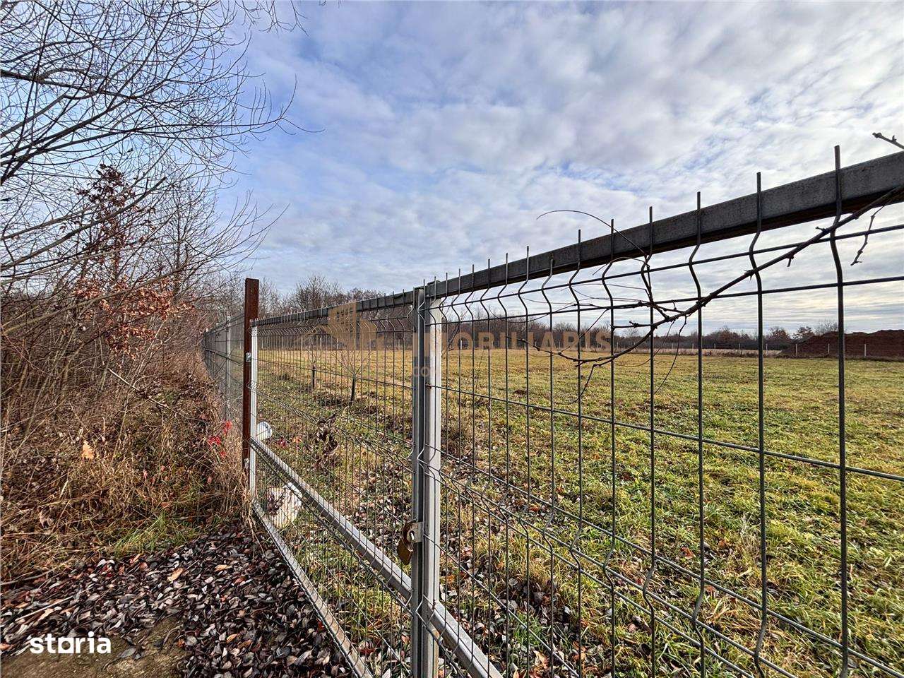 Teren intravilan Tautii Magheraus-5