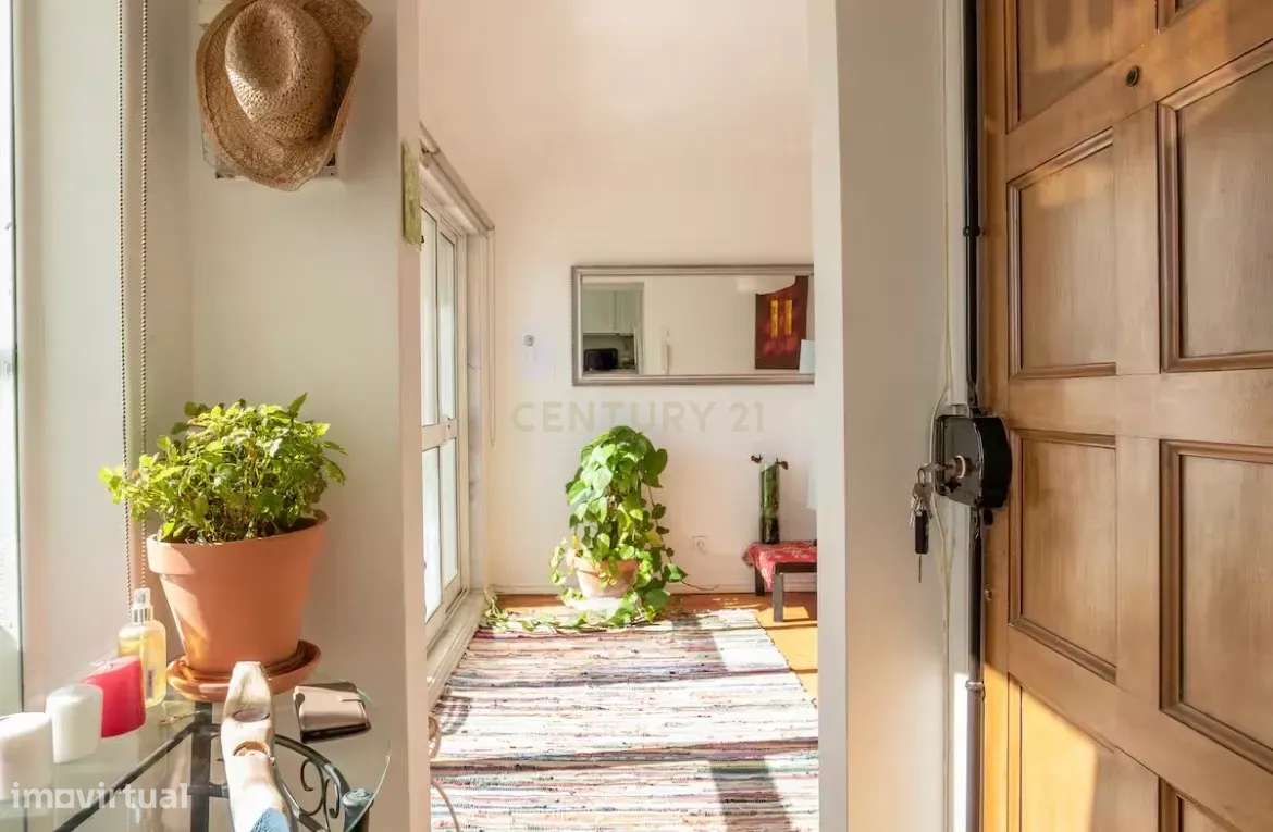 T1 com Terraço – Cruz Quebrada, Dafundo - Grande imagem: 4/22