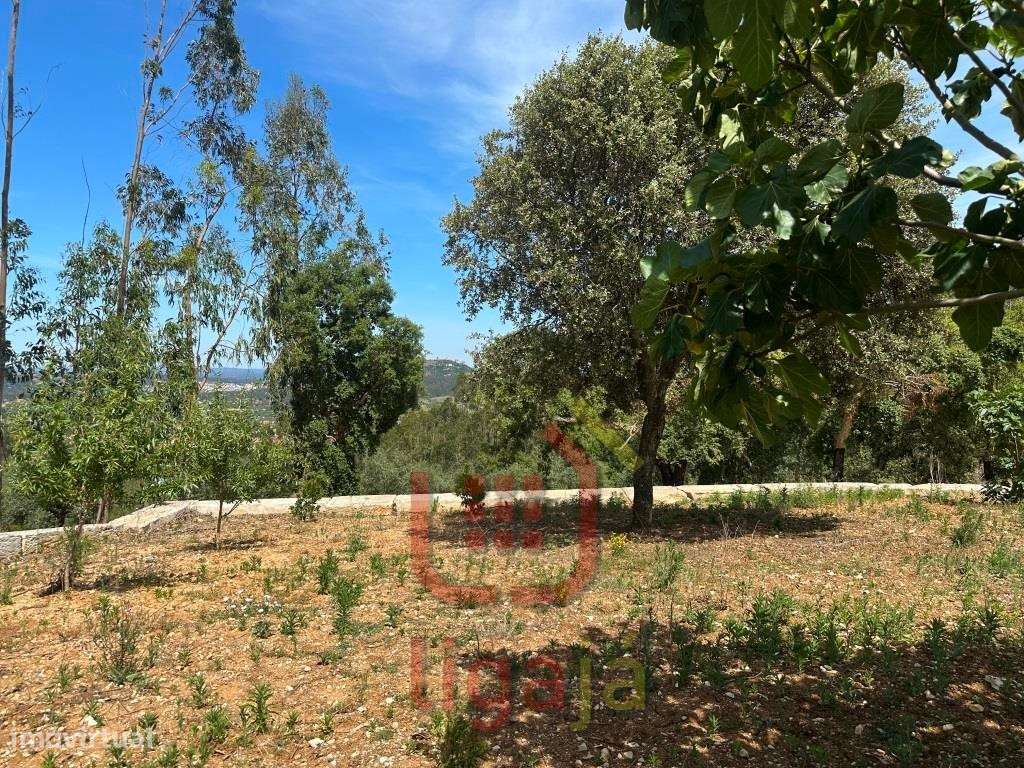 Armazém Industrial/Agropecuário com 9.700 m² de Terreno | Entre Our...-3