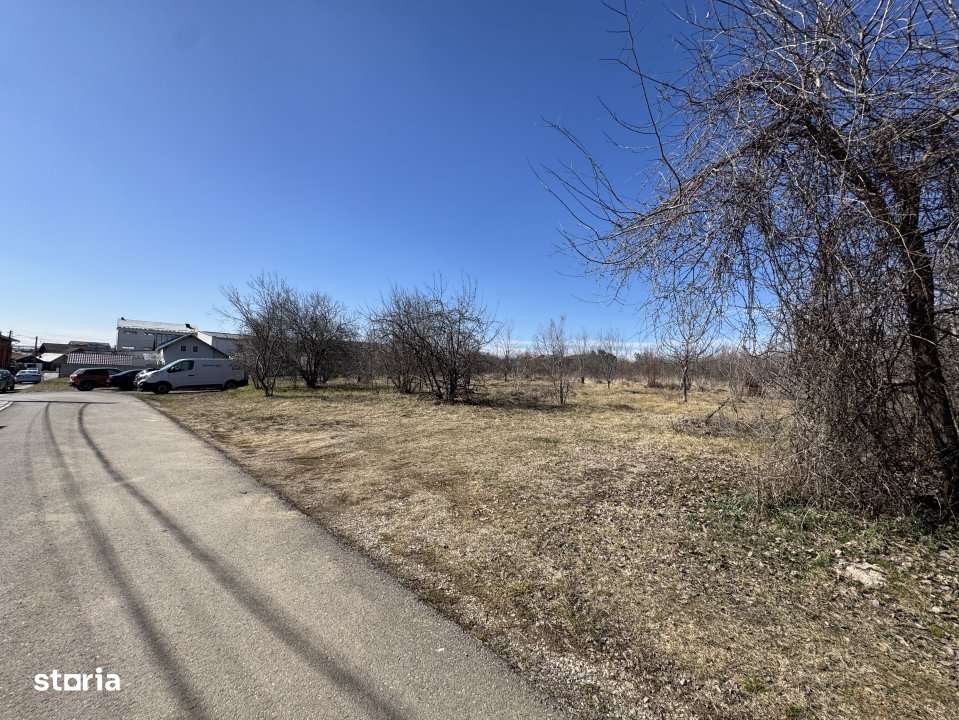 Cel mai bun teren din Paulesti-4