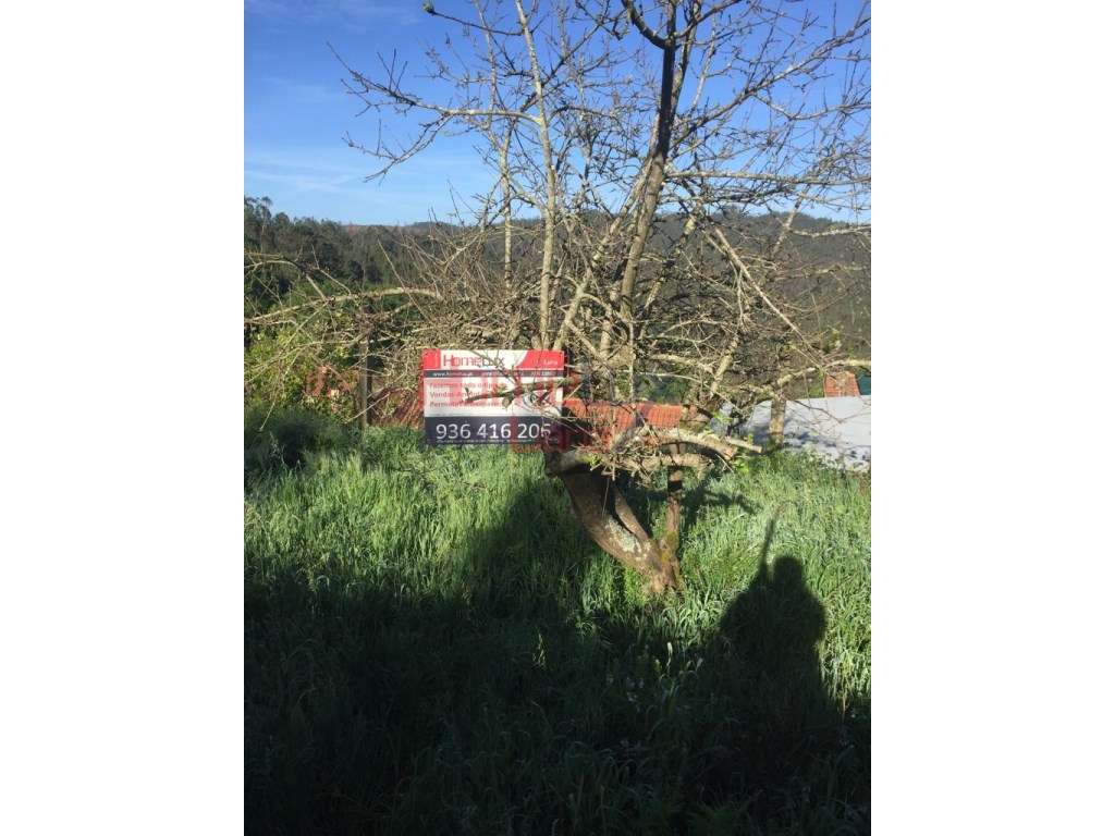 Terreno em Albergaria-A-Velha - Grande imagem: 2/30