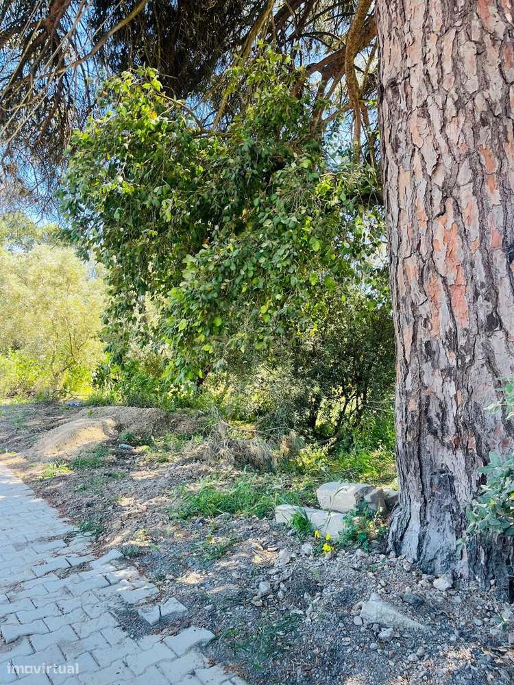 Terreno Rústico com pré-aprovação para Construção. - Grande imagem: 5/6