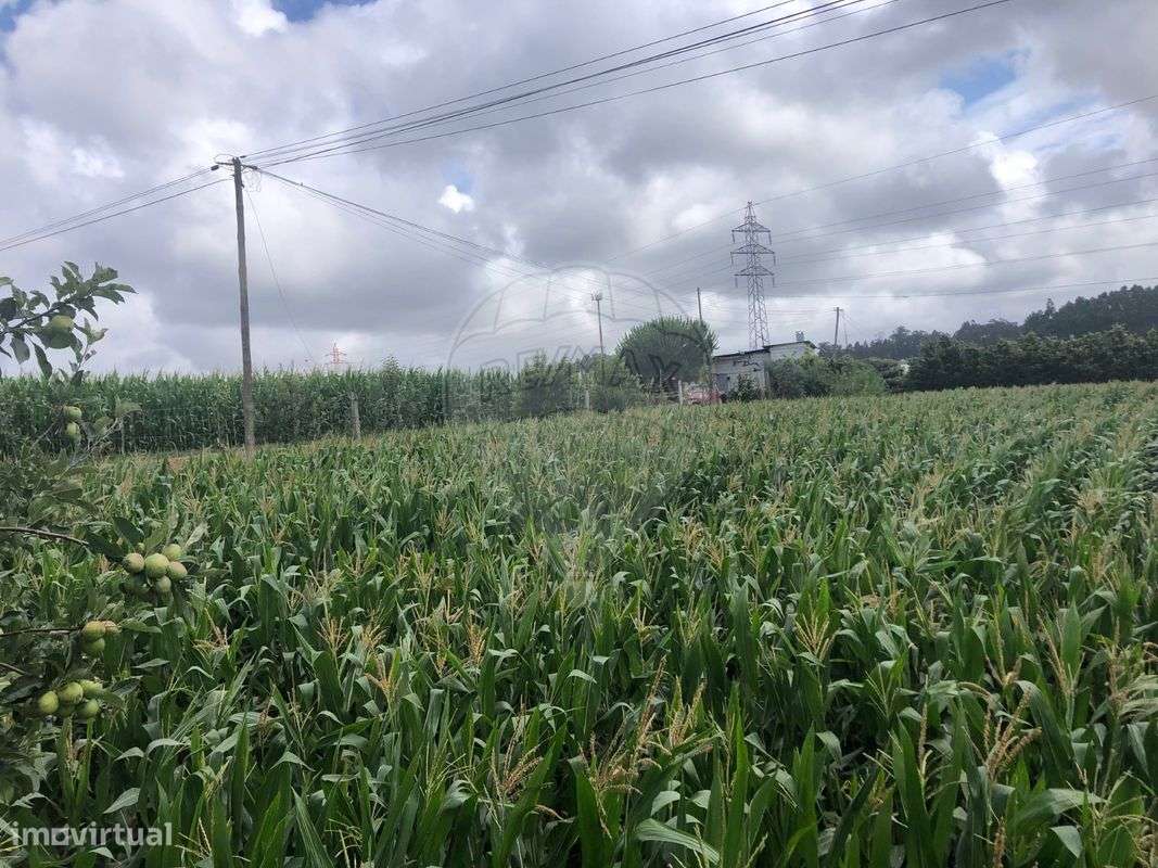 Terreno  para venda - Grande imagem: 5/5