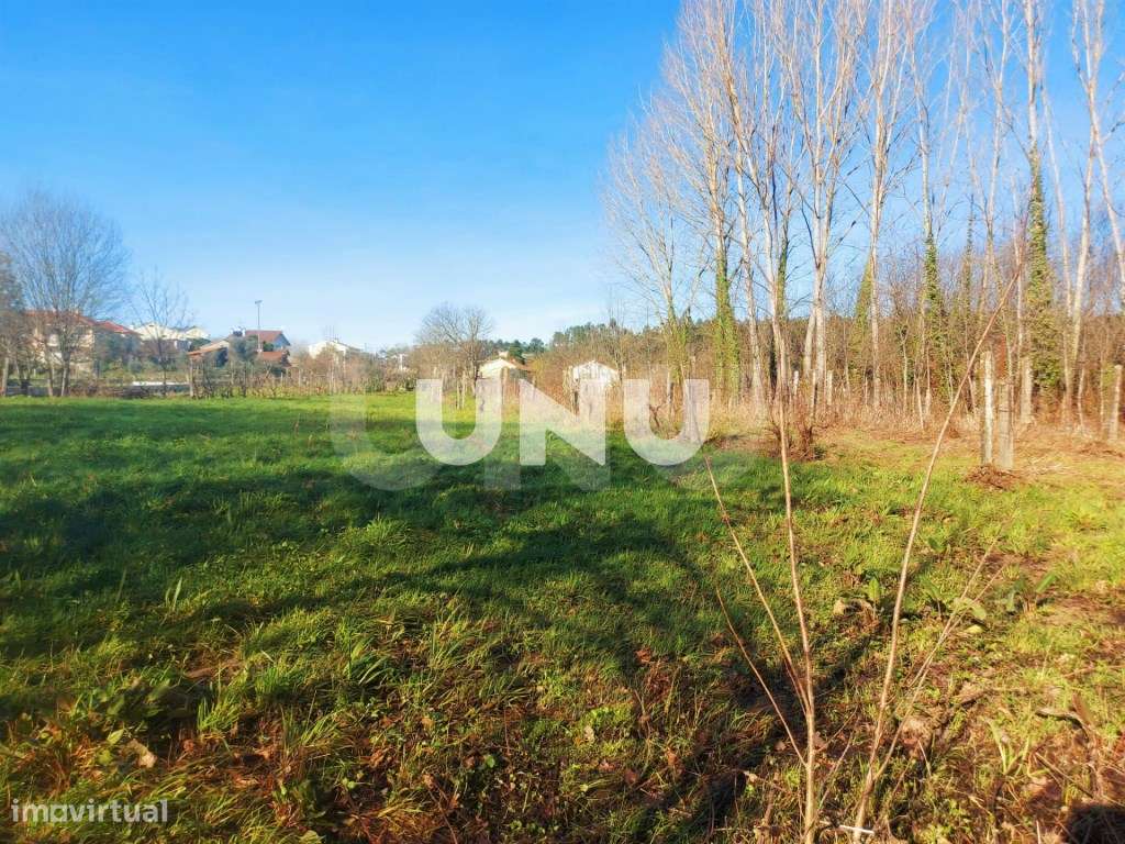 Terrenos Rústicos - Local Rodeado de Natureza - Grande imagem: 5/18