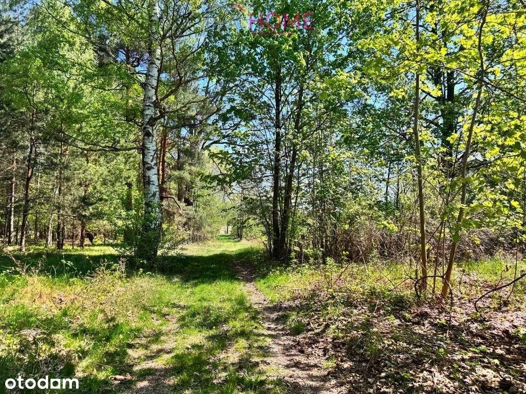 Dom na sprzedaż - Majdan Królewski 2,12ha działki - Pełny obrazek: 3/20