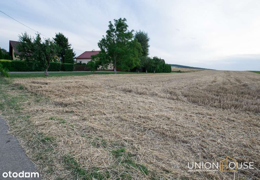 Działka z dojazdem budowlano-rolna, 0,65 ha-2