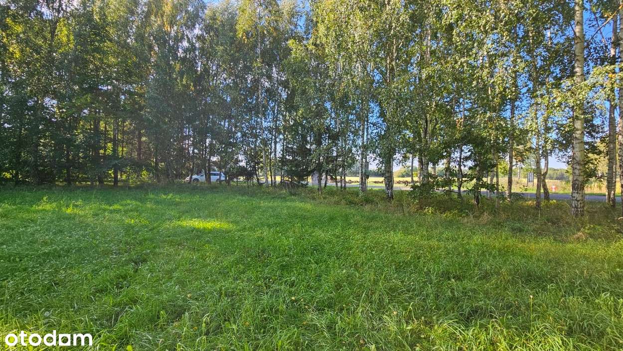 Działka budowlana Kamiennik Wielki, gmina Milejewo-5