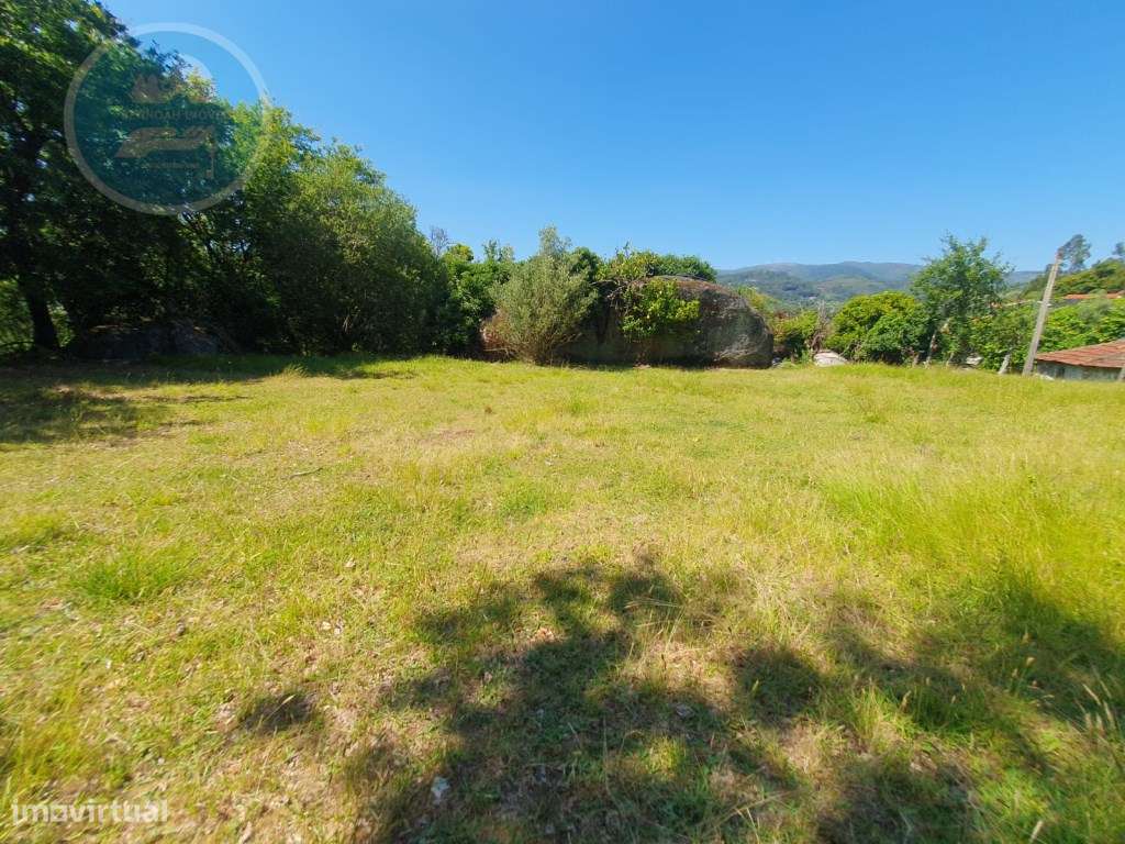 Quinta à venda para restauro em Arroteia freguesia de Rossas-47