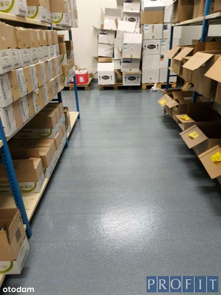 magazyn 1134 m2 , węzeł Sosnica , Gliwice - Pełny obrazek: 4/10