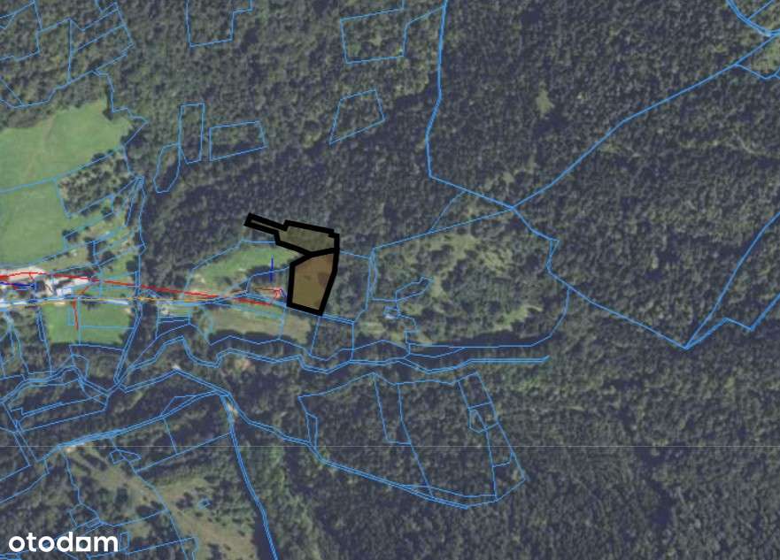 Widokowa działka z własnym lasem! - pod dom, domek weekendowy, domki-6