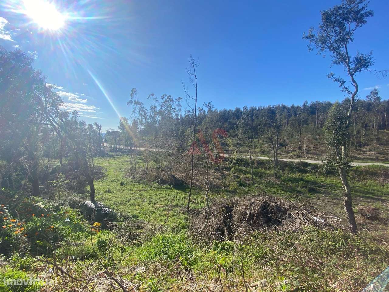 Terreno de Construção com 3.109m2 em Sousela, Lousada - Grande imagem: 5/6