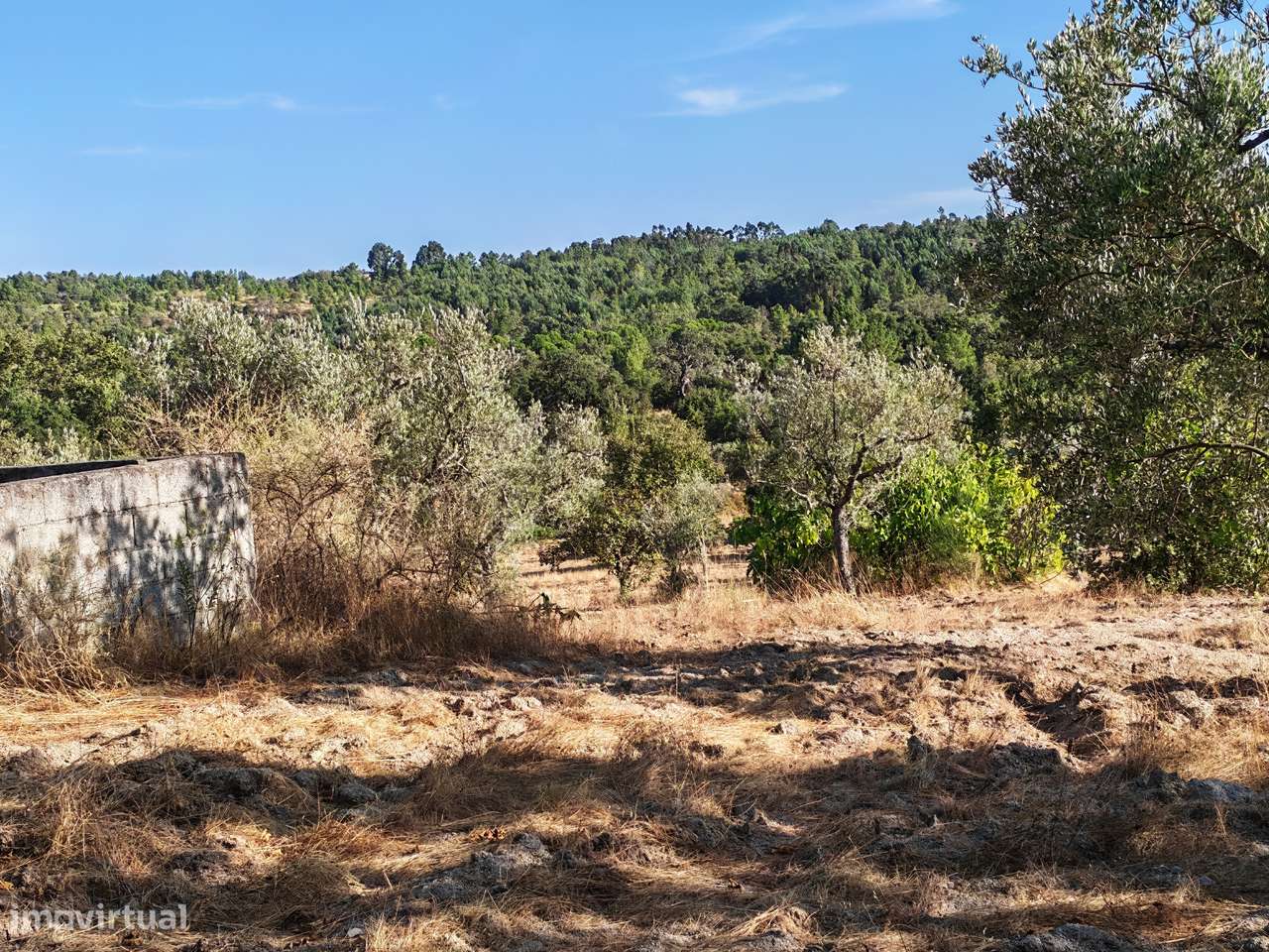 Terreno com casa - Grande imagem: 5/13