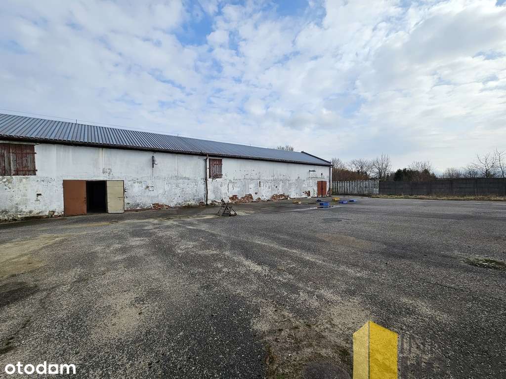 Obiekt biurowo-magazynowy, Staniewice, 812 m2 - Pełny obrazek: 4/11