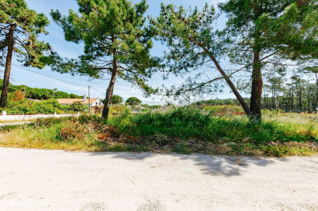 Terreno Urbano na Charneca de Caparica | Pinhal da Aroeira-5