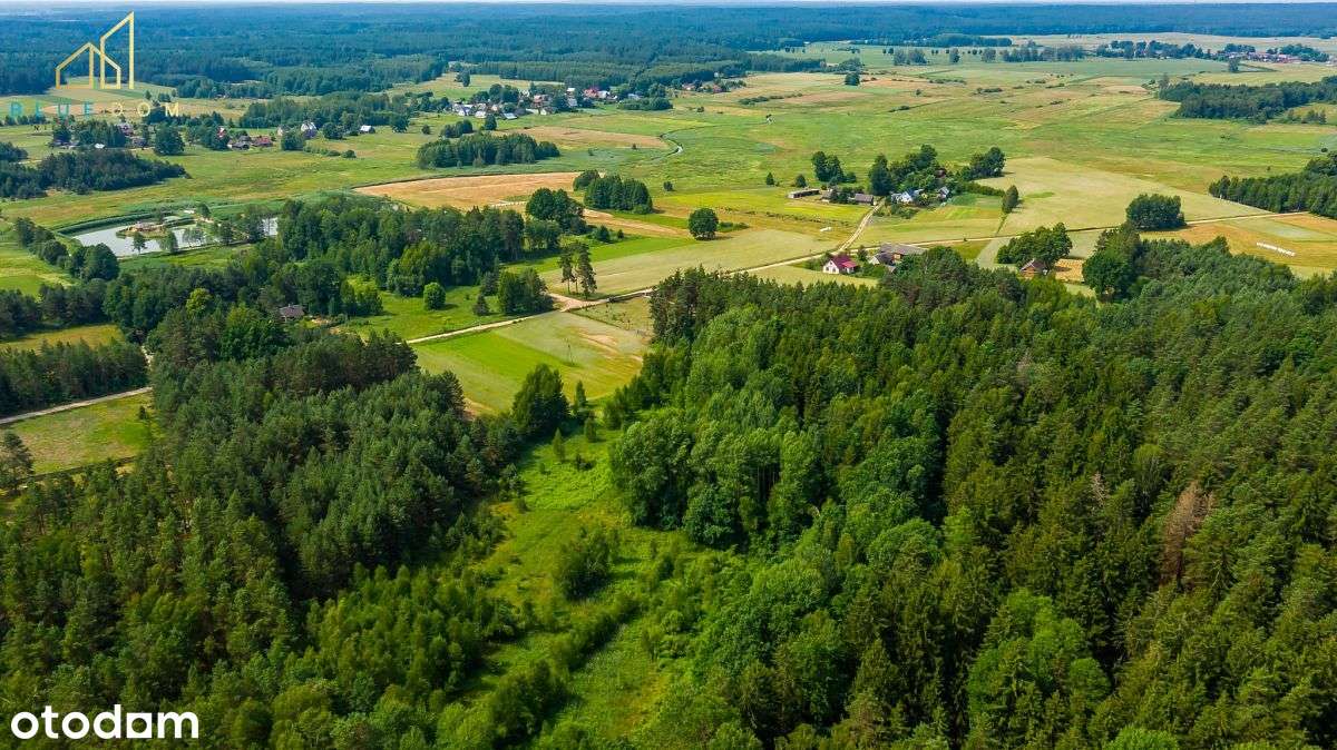 Działka w spokojnym miejscu - Królowe Stojło - Pełny obrazek: 5/9