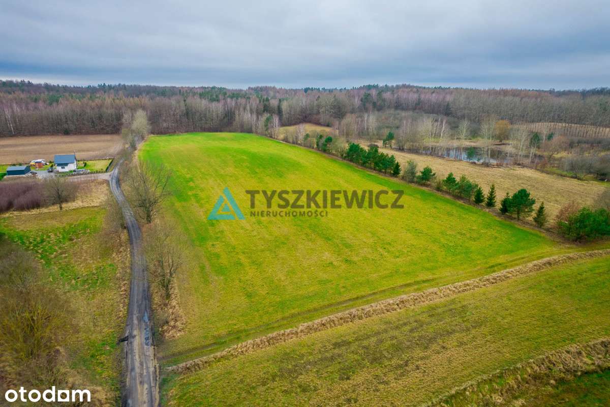 Duża działka rolna w Głodowie! - Pełny obrazek: 2/14