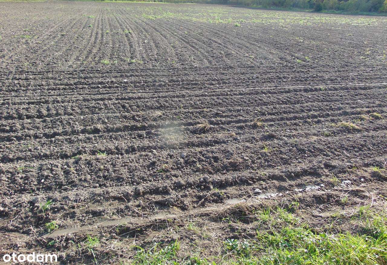 Działka rolno-budowlana w Zielonej Górze pod budowę domów.-3