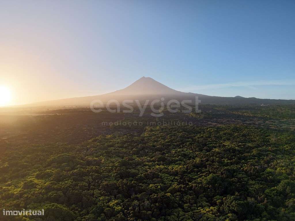 Terreno com Vista Mar e Montanha em Zona de Paisagem Protegida da V... - Grande imagem: 5/14