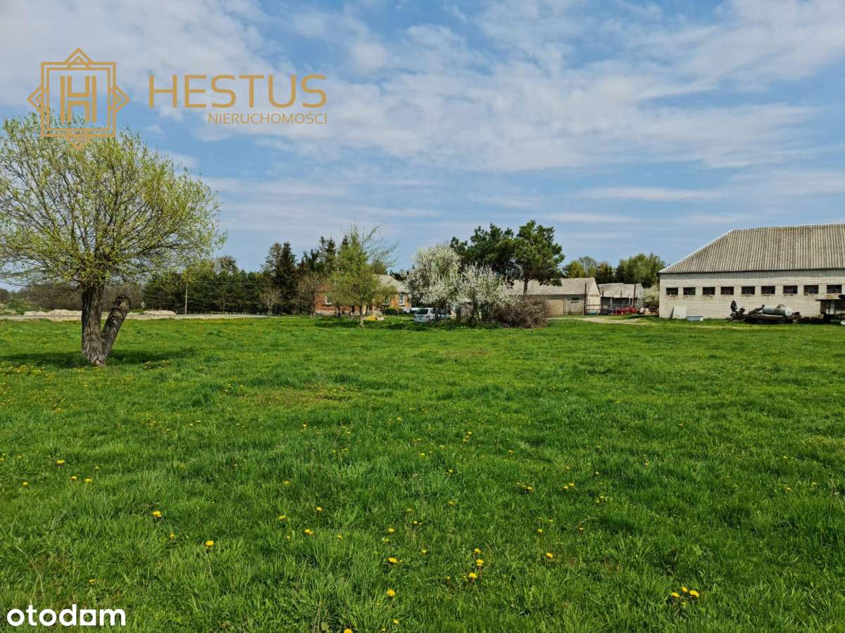 Działka na Pojezierzu Łęczyńsko-Włodawskim - Pełny obrazek: 4/8