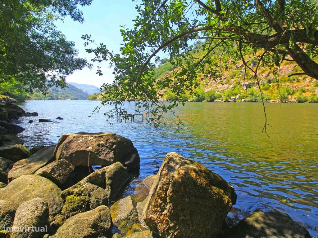 Quinta com frente de Rio Douro-31