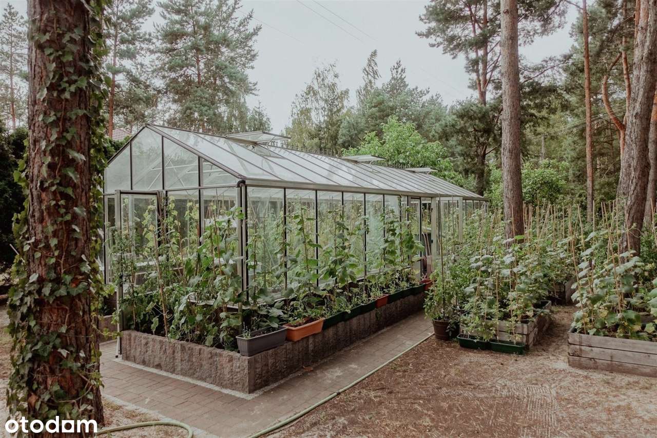 Unikatowa willa do zamieszkania lub pod usługi-16