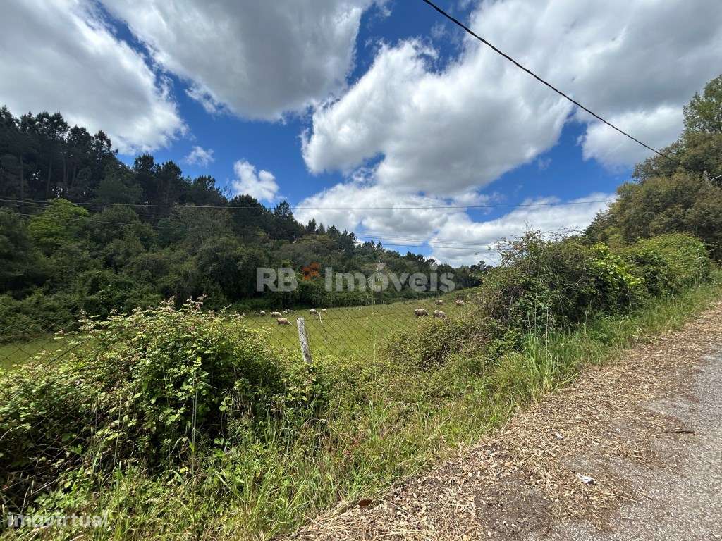 Terreno rústico com PDM Urbano - Carvalhais, Ferreira do Zêzere - Grande imagem: 2/25