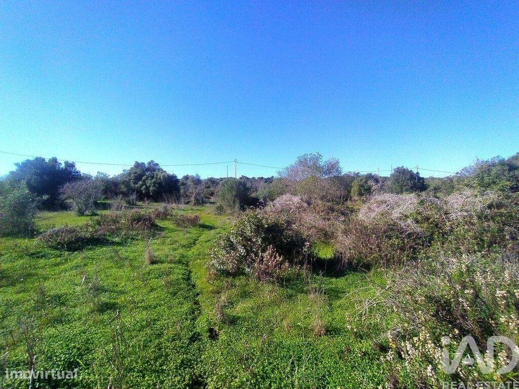 Terreno de Lazer em Barão de São Miguel de 9160,00 m2 - Grande imagem: 4/30