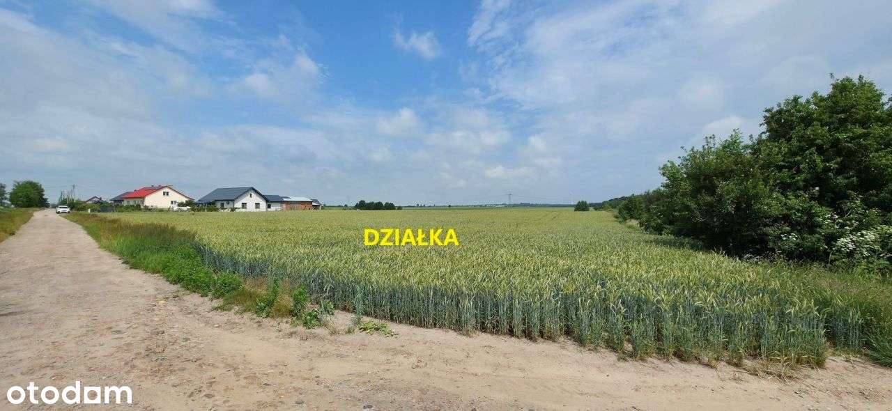 Działka, 12 600 m², Gołębiewek Nowy - Pełny obrazek: 4/5