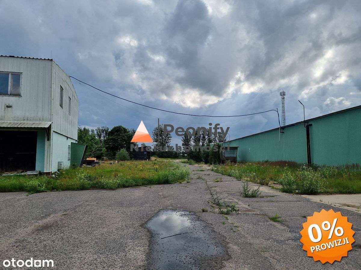 Obiekt magazynowo-biurowo-socjalny Rzeczenica - Pełny obrazek: 5/20