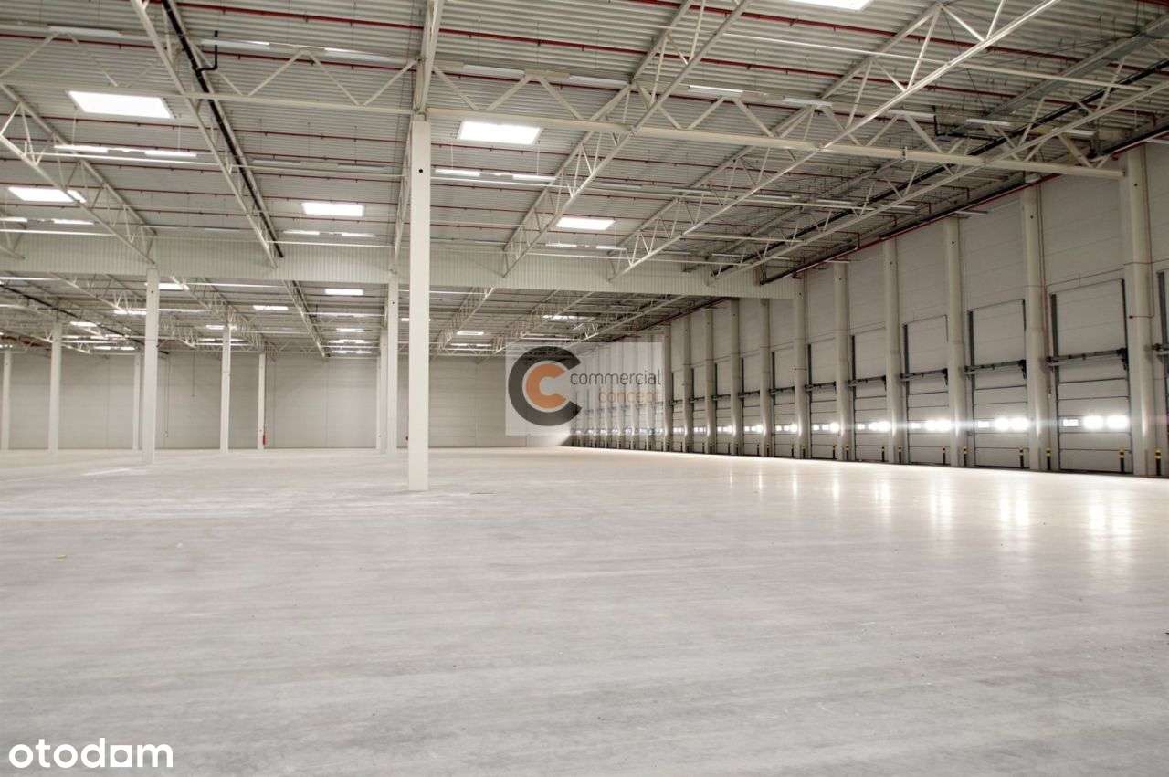 Hala Magazynowa | Zakrzów | Ochmanów | 0% prowizji - Pełny obrazek: 4/4