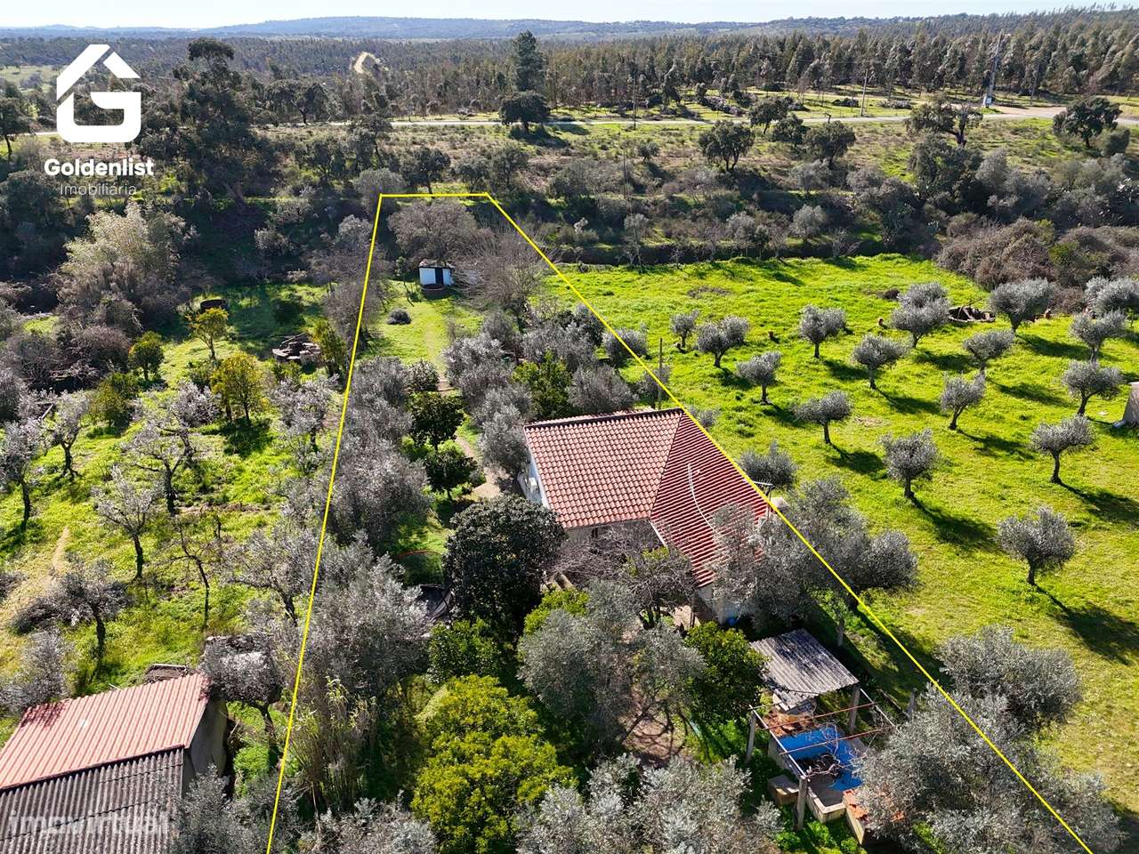 Quinta  Venda em Monforte da Beira,Castelo Branco-29