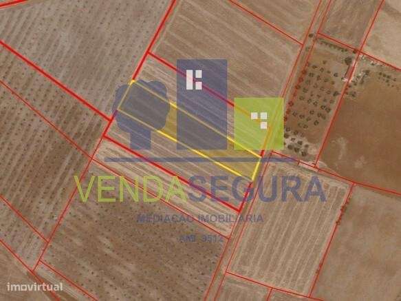 Terreno Rústico 0,325 Ha | Santo Amador - Grande imagem: 3/3