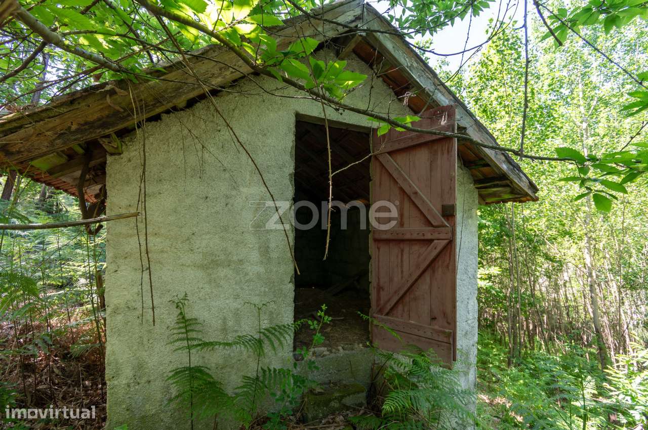 Terreno Rústico com Potencial Turístico - Grande imagem: 4/29