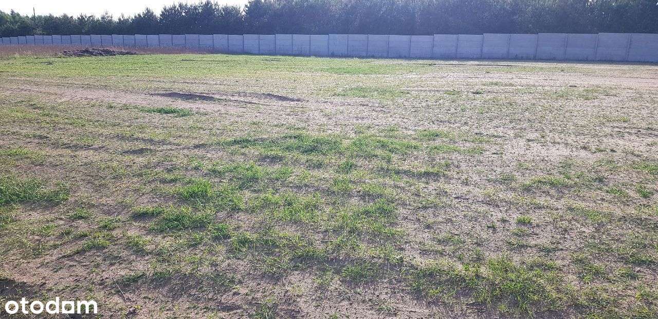 Działka Rypin/Zakrocz  INWESTYCYJNA Pozwolenie na BUDOWE+ PROJEKT DOMU - Pełny obrazek: 5/11