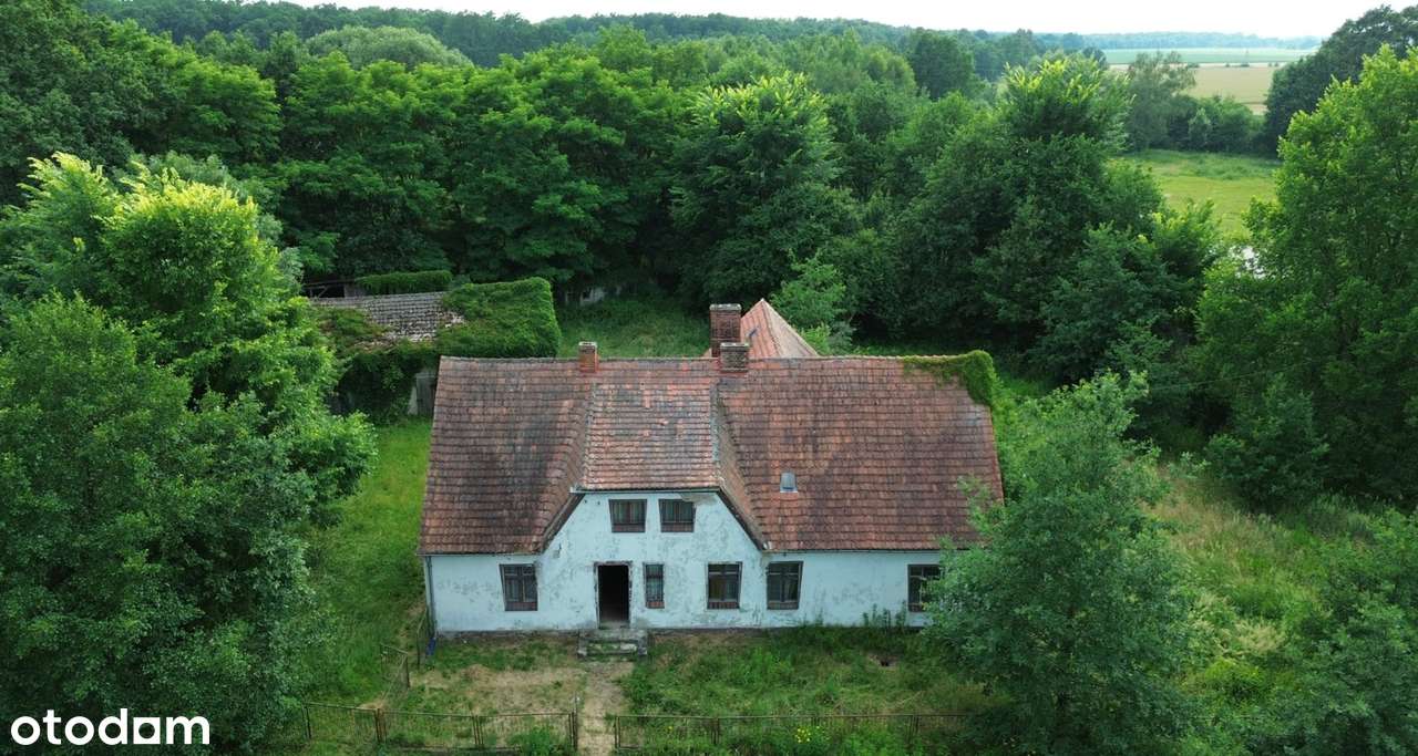 Wyjątkowa posiadłość w sercu lasu | Henrykowice k. Milicza | Dom 280 m-6