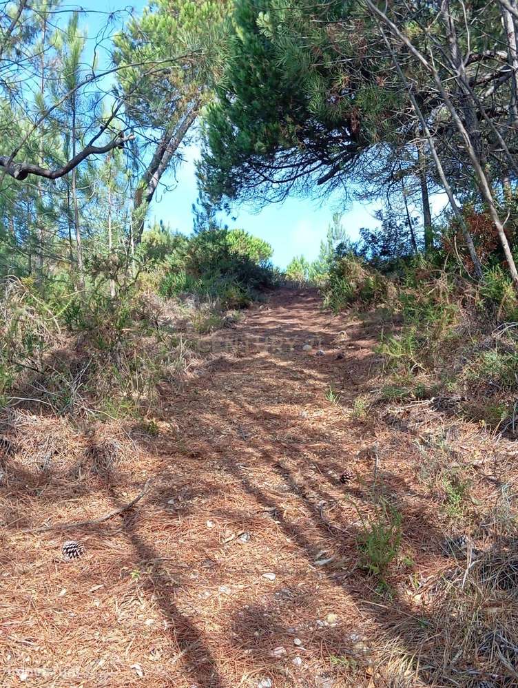 Terreno com área de 10.000m2 com projeto aprovado perto da Aldeia do M-9