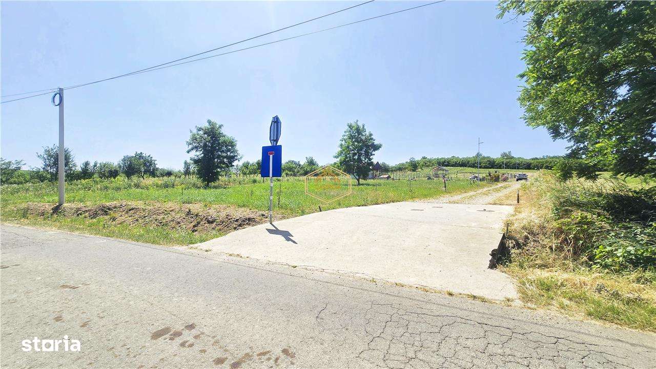 VIDEO | Loc de casa, cabana sau turism - Ardud | Vedere spre Satu Mare-16