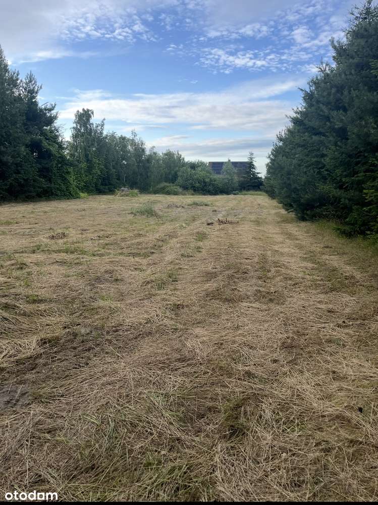 Ogrodzona działka 32 ary  w Ramiszowie koło Wrocławia - Pełny obrazek: 4/7