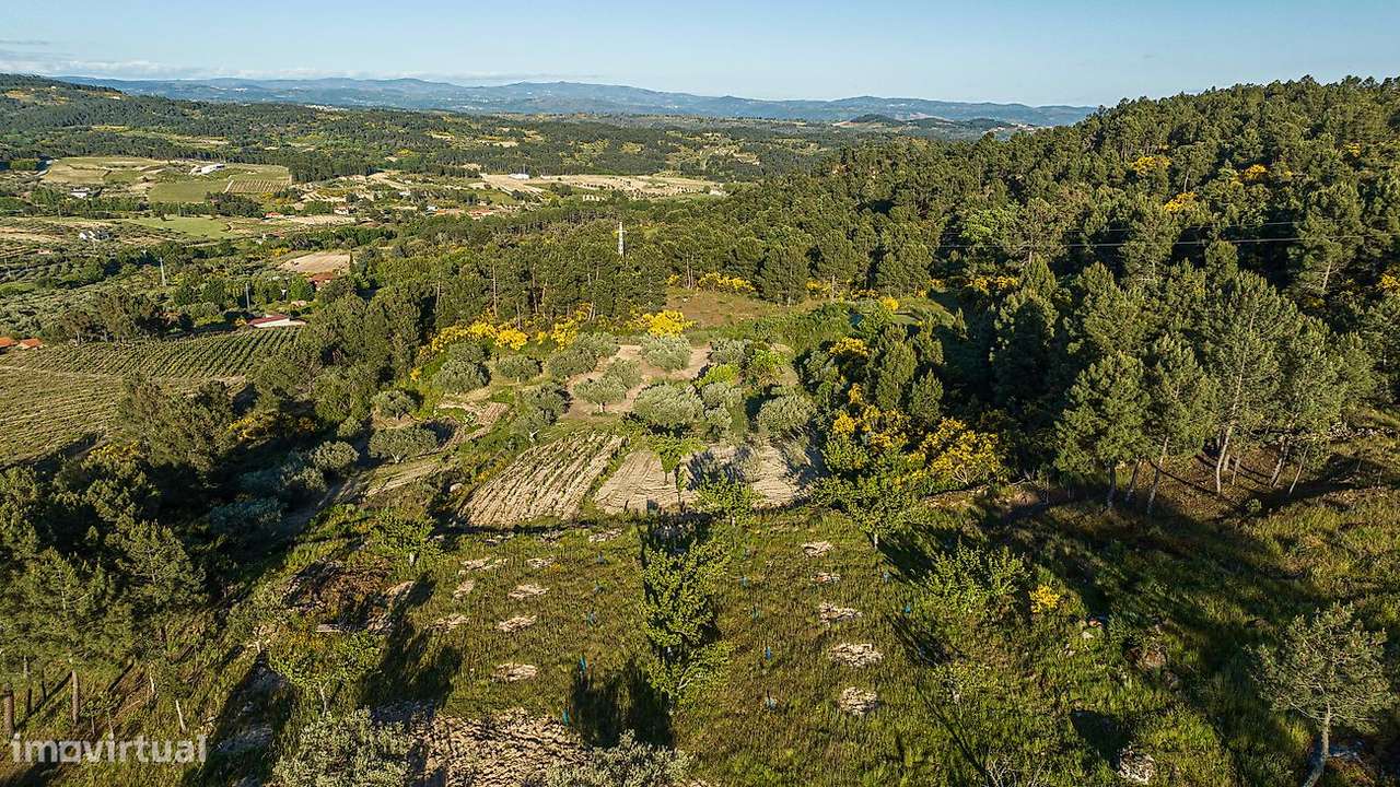 Terreno  para venda - Grande imagem: 4/16