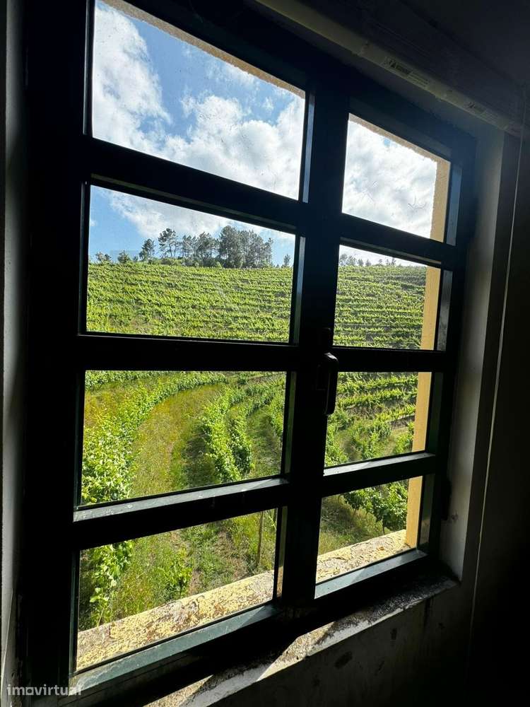 Quinta de Charme no Coração do Douro – Uma Oportunidade Única - Grande imagem: 5/24